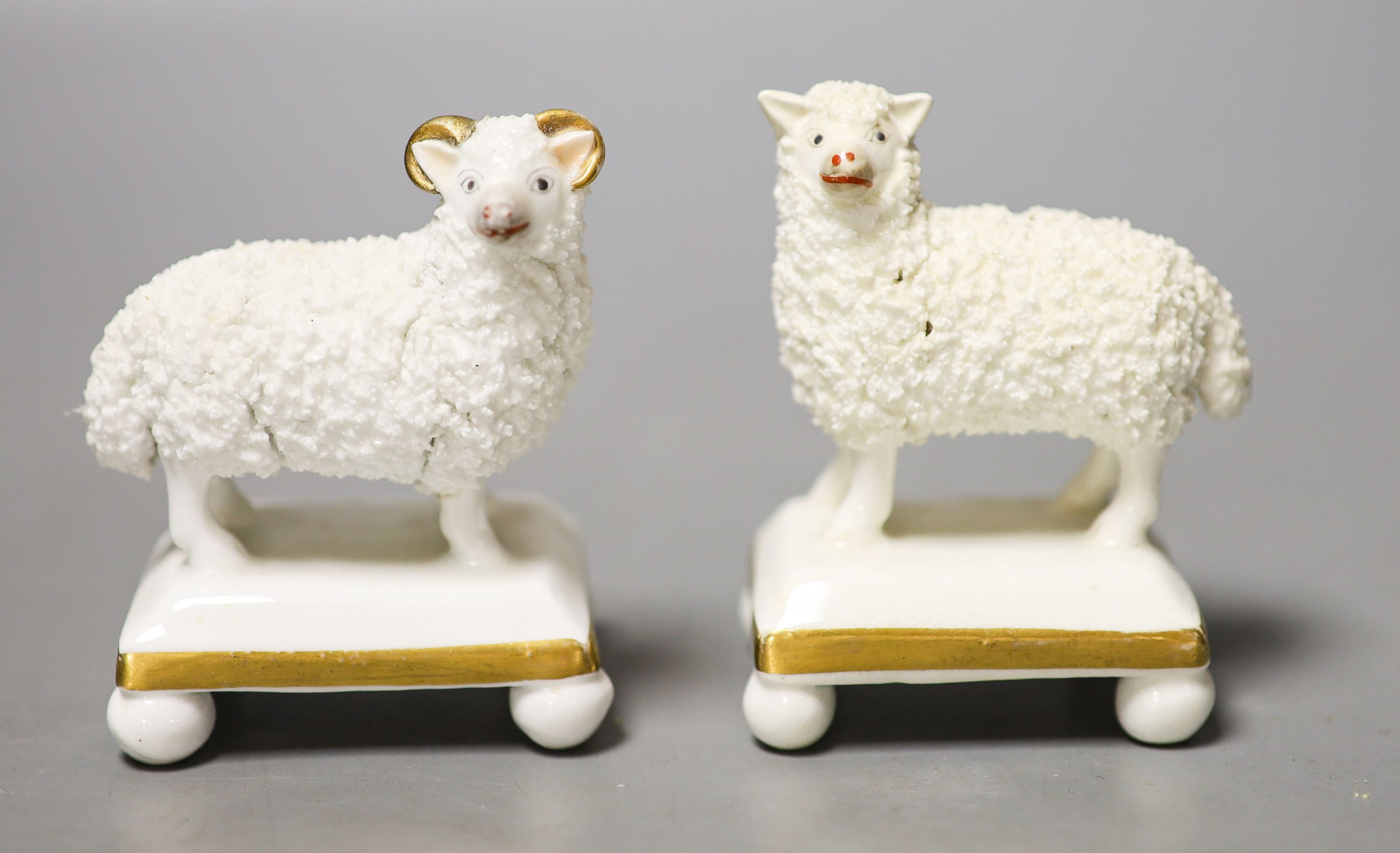 A pair of Staffordshire porcelain models of a ram and a ewe, c.1830–50, each standing on a rectangular face with four ball feet 8cm